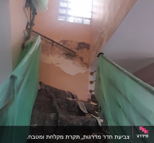 קירות מתקלפים עם כיסוי פלסטיק ירוק